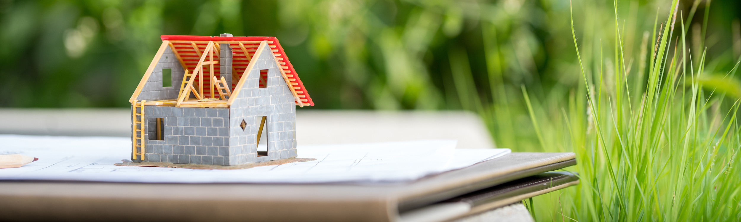 Should you buy new or established?